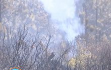 ยกเลิก ฮ.ขนรถทำแนวกันไฟ เหตุค่าใช้จ่ายสูง