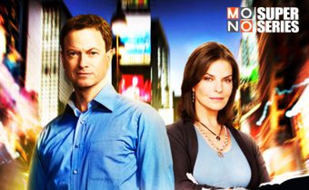 CSI : NY หน่วยเฉพาะกิจสืบศพระทึกนิวยอร์ก ปี 7