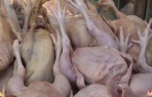 ความต้องการไก่ไหว้เจ้าช่วงตรุษจีน เพิ่มขึ้น 15%