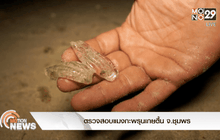 ตรวจสอบแมงกะพรุนเกยตื้น จ.ชุมพร