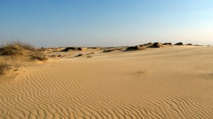 “โอเลชสกี้ แซนด์” ทะเลทรายในยูเครน แห้งแล้งแต่สวยงาม