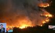 ไฟไหม้ป่าในรัฐอริโซนาของสหรัฐฯ