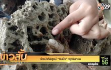เจ้าหน้าที่พิสูจน์ “หินนิ้ว” ผุดริมทะเล