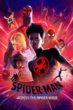 Spider-Man: Across The Spider Verse สไปเดอร์-แมน: ผงาดข้ามจักรวาลแมงมุม