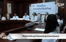เชื้อไข้หวัดใหญ่ไม่ใช่สายพันธุ์สวิตเซอร์แลนด์