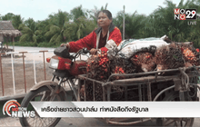 เครือข่ายชาวสวนปาล์ม ทำหนังสือถึงรัฐบาล