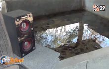 เลี้ยงปูนาด้วยเสียงเพลง