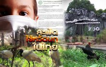 สะพัดไข้หวัดนกในไทย