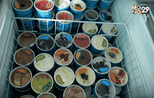 Five minutes Bighero : พี่บอมบ์ ตอนที่ 4/5