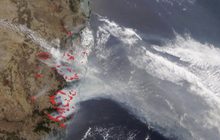 ไฟป่าออสเตรเลียยังคงรุนแรง