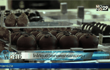 โกโก้ชุบชีวิตเกษตรกรแคเมอรูน