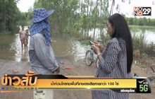 น้ำท่วมโคราชพื้นที่เกษตรเสียหายกว่า 100 ไร่