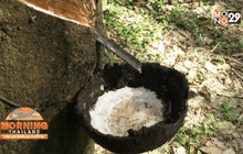 “พาณิชย์” ปิ๊งไอเดียดึงห้างฯ ขายยางพาราแปรรูป