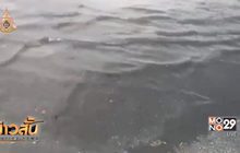 ขุดลอกตะกอนน้ำเสียเกาะพีพี จ.กระบี่