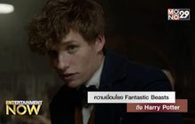 ความเชื่อมโยง Fantastic Beasts ถึง Harry Potter