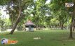 เตรียมปรับปรุงโครงสร้างสวนลุมพินีทั้งระบบ