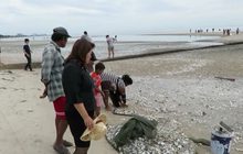 แห่จับสัตว์น้ำหาดหัวหิน หลังเกิดปรากฏการณ์ “น้ำเบียด”