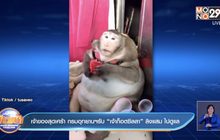 เจ้าของสุดเศร้า กรมอุทยานฯรับ “เจ้าก็อตซิลลา” ลิงแสม ไปดูแล