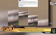 หนุ่มโพสต์เตือนภัยเจอลูกจระเข้ในคลองประปา