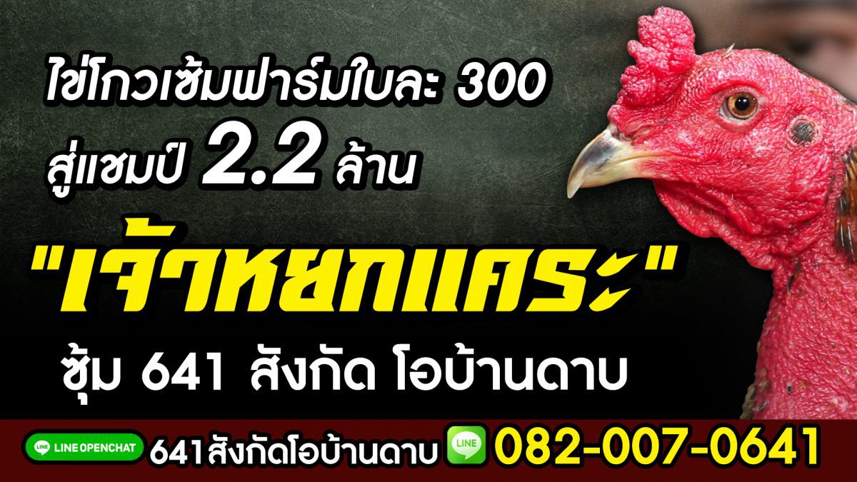 “เจ้าหยกแคระ” จากไข่โกวเซ้มฟาร์มใบละ 300 สู่แชมป์ 2,200,000 บ. ซุ้ม 641 สังกัดโอบ้านดาบ