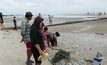 แห่จับสัตว์น้ำหาดหัวหิน หลังเกิดปรากฏการณ์ “น้ำเบียด”