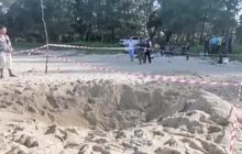 ตั้งรางวัลนำจับคนขโมยไข่เต่ามะเฟือง