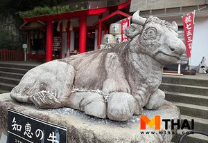 สายมู ญี่ปุ่น ต้องรู้ ! ทริกขอพรรูปปั้นวัว ขอพรสติปัญญา การสอบ และสุขภาพ