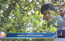 ถูกเลิกจ้าง แต่หัวใจไม่ยอมเกษียณ