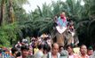 ครูบำนาญ ใช้ช้าง 11 เชือก แห่นาคงานบวชลูกชาย