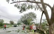 ฝนถล่มอีสานเสียหายหลายจังหวัด
