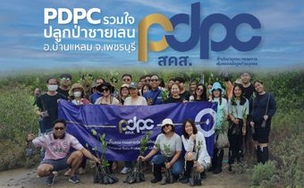 PDPC ปลูกจิตสำนึกรักษ์สิ่งแวดล้อม นำทีมเจ้าหน้าที่สร้างพื้นที่สีเขียว ร่วมปลูกป่าชายเลน จังหวัดเพชรบุรี