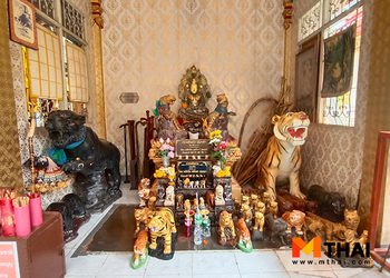 ชวนผู้ที่เกิดปีขาลและผู้ที่เกิดวันเสาร์ ไหว้หลวงพ่อเสือ วัดแดงธรรมชาติ
