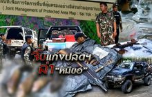จับแก๊งปลัดฯ ล่า “หมีขอ” 08-10-61
