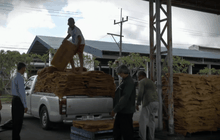 เร่งแก้ราคายาง