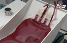 ธนาคารเลือดสัตว์ออสเตรเลียรณรงค์ขอบริจาคเพิ่ม