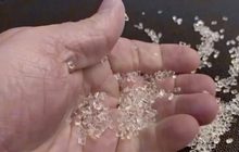 ฟินแลนด์คิดค้นวัสดุทดแทนพลาสติกจากต้นไม้