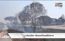 จ.พิษณุโลก เตือนงดทิ้งบุหรี่ข้างทาง