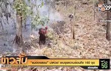 “แม่ฮ่องสอน” น่าห่วง! พบจุดความร้อนถึง 160 จุด