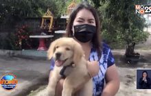 ได้ลูกสุนัขคืนแล้วหลังแจ้งความกับตำรวจ
