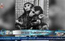 24 เม.ย. วันสัตว์ทดลองโลก