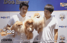 แถลงเตรียมจัดงาน “Thailand International Dog Show 2015”