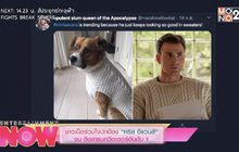 ชาวเน็ตร่วมใจปกป้อง “คริส อีแวนส์” จน ติดเทรนทวิตเตอร์อันดับ 1