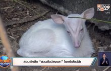 สอบเชิงลึก “สวนสัตว์สงขลา” โยงค้าสัตว์ป่า
