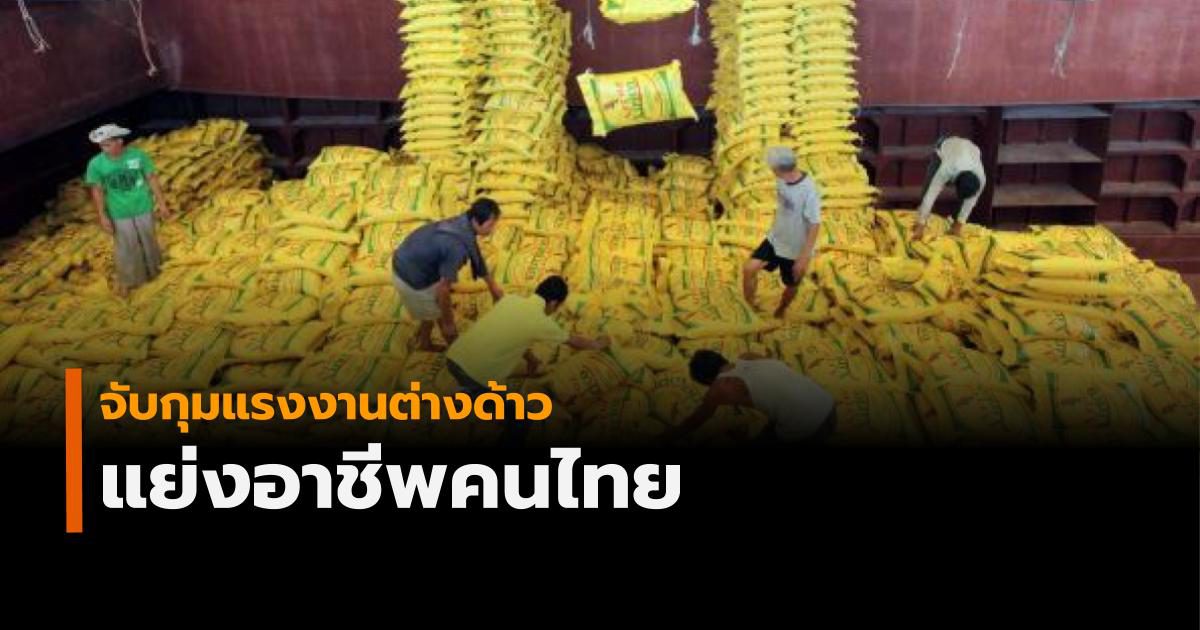 จับกุมแรงงานต่างด้าวแย่งอาชีพคนไทยแล้วกว่า 300 คน