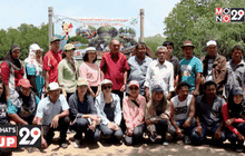 กฟผ. ร่วมสนับสนุนการพัฒนาป่าโกงกางคลองควาย