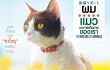 The Travelling Cat Chronicles ผม แมว และการเดินทางของเรา