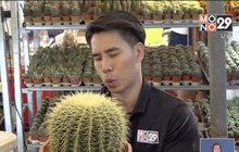 เจษฎาบอกต่อ พาชมงานเกษตรแฟร์