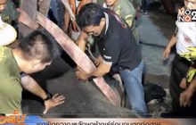 เอาผิดควาญหลังพาช้างเร่ร่อนจนตกท่อตาย