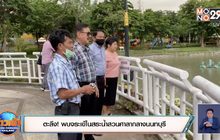 ตะลึง! พบจระเข้ในสระน้ำสวนศาลากลางนนทบุรี