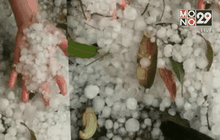 หลายจังหวัดอ่วม พายุลูกเห็บพัดถล่ม